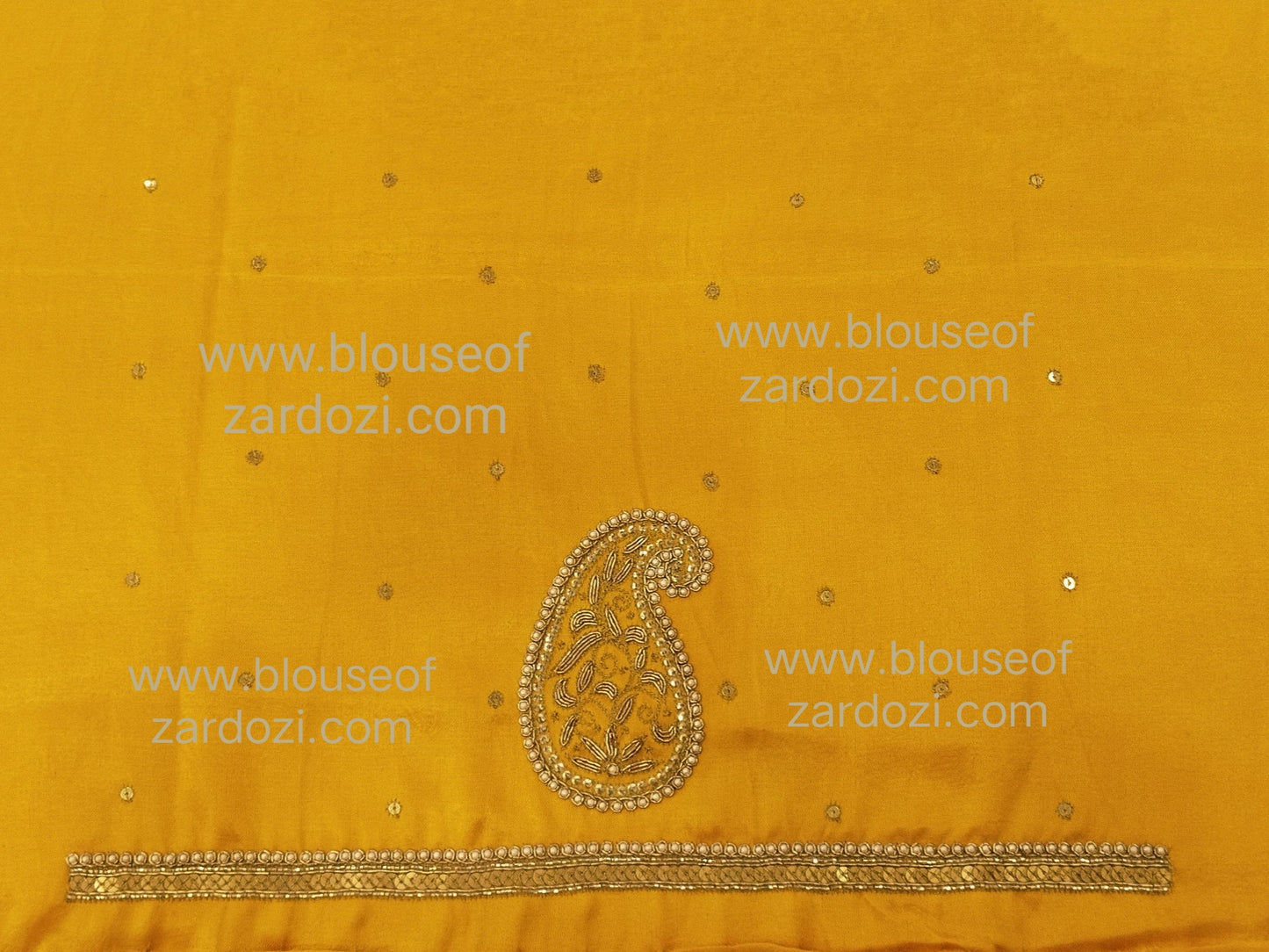 free Hand Zardozi Work Designer Blouse Pis.